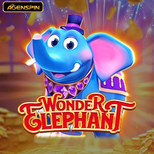 wonder elephant