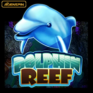 dolphinreef