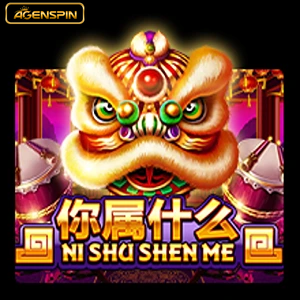 nishushenme