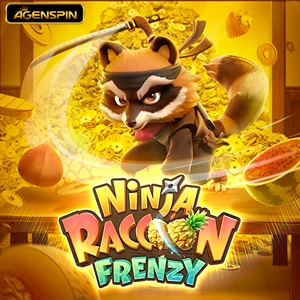 Ninja Raccoon Frenzy