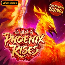 Phoenix Rises