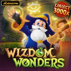 Wizdom Wonders