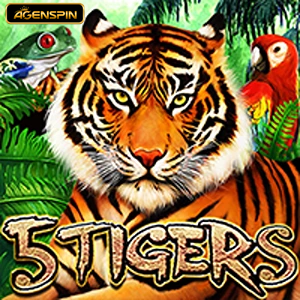 5 Tigers